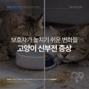 심동물병원 이미지