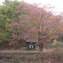 가마실마을 이미지