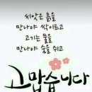 시골오리 이미지