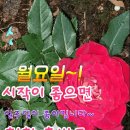 오늘의 운세, 6월 8일 월요일 [음력 윤4월17일]일진:임오(壬午) 이미지