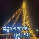 시민공원 북문 앞 횡단보도 | 2025 부산시민공원 빛축제 빛의거리 에펠탑 조명