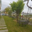 포레스트리 이미지