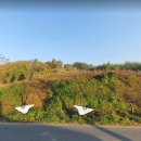 정촌시대공인중개사사무소 이미지