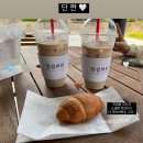 이것이 행복🍀🕊️💚🌿🩵