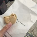 청산카 | 파리 생활 청산 후 보르도 입성