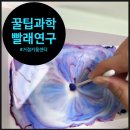 오해피데이지 이미지