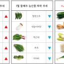 부산유통 이미지