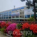 수정시흥-D-5 투어코리아
