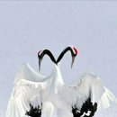 제일주유소 화장실 이미지