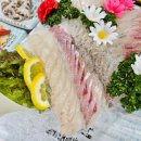 포항횟집 이미지