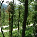 영화마을 이미지