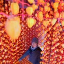 지리산곰실곶감농원 이미지