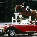 칼리스타 이미지