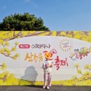 백사중학교 | 이천 산수유축제! 노란 봄을 만나다 🌼 (ft. 이천 산수유꽃축제 주차장, 축제후기)