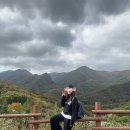 제일사슴농장 이미지