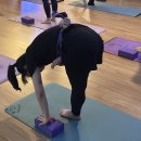 송천 | 초보자도 숙련자도 나르샤요가 송천점 후기/전주송천동요가/전주송천동필라테스