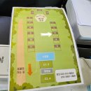 달빛소풍 | 펫 힐링 달빛 동물원&amp;영월오토캠핑장