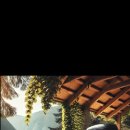 아이비렌트카 이미지