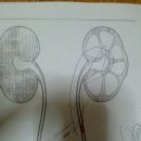 서울탑비뇨기과의원 이미지