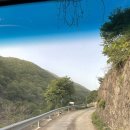 구만산펜션 | 밀양펜션 해바라기펜션&amp;풀빌라 장미방 이용후기