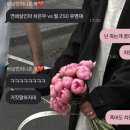 종로-신영-종로-영-252 | 252. 안녕은 우릴 아프게 하지만 우아할 거야