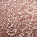 영피부샵 이미지