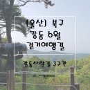 ㈜사랑길 제전장어 | [울산관광] 6월 걷기여행길 선정! - 울산 북구 강동사랑길 3코스 1편