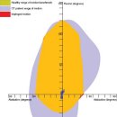 Kinematics of the Hip 이미지