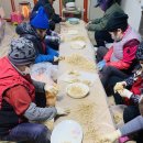 종삼농장 | [인삼] &#39;묘삼&#39;, 다시 돌아온 종삼 캐기 (묘삼이란?, 묘삼분류법, 새싹삼)