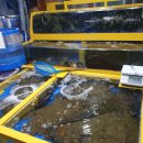 서화수산 이미지