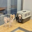 붕가붕가샵 이미지