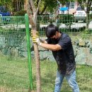 파트라슈반려견학교 이미지