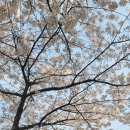 양평교 화장실 이미지