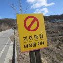 다비숲공원 티스토리