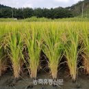성산개발