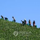 고도민박