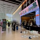 렙타일케이지 | 대구 아이랑 가볼만한 곳 실내 파충류 박람회 엑스코 전시 렙타일페어 후기