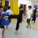 광덕태권도체육관 이미지