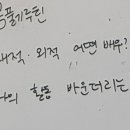 유림모사