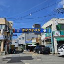 일로 이미지