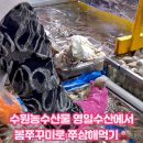 영일수산 이미지