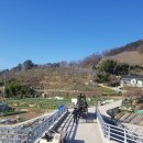 김영기 농장 이미지