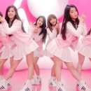 우주의치어리더 네이버블로그