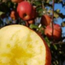 준2농장 이미지