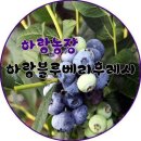 하랑농장 이미지