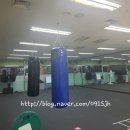 원펀치 복싱클럽 이미지