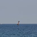 아야진 스테이 이미지