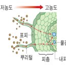 정원화학 이미지