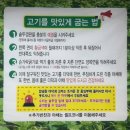 전주댁솥뚜껑더덕삼겹살 | 울산중구맛집ㅣ더덕솥뚜껑삼겹살 더덕구이 무한리필 고깃집 후기