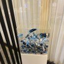 나날스킨 | 논현역 여드름 나날스킨에서 커스터마이징 케어 후기